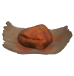 Moisissure rouillée